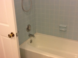 Just a common, 60-inch tub. Notice the in-swinging door.
